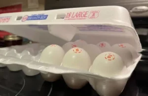 Колорадо планирует финансировать продуктовые банки на фоне продолжающегося shutdown’а